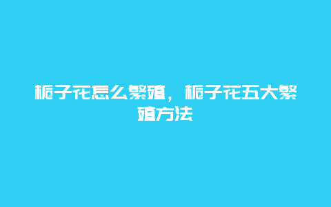 栀子花怎么繁殖，栀子花五大繁殖方法