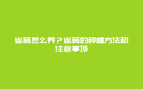 雀梅怎么养？雀梅的种植方法和注意事项