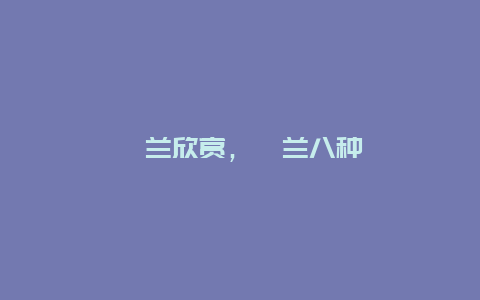 蕙兰欣赏，蕙兰八种