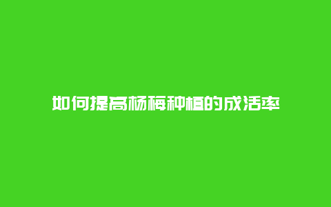 如何提高杨梅种植的成活率