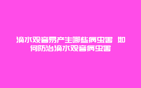 滴水观音易产生哪些病虫害 如何防治滴水观音病虫害