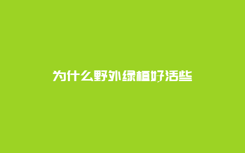 为什么野外绿植好活些