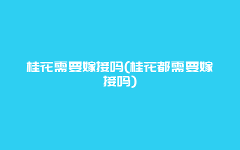 桂花需要嫁接吗(桂花都需要嫁接吗)