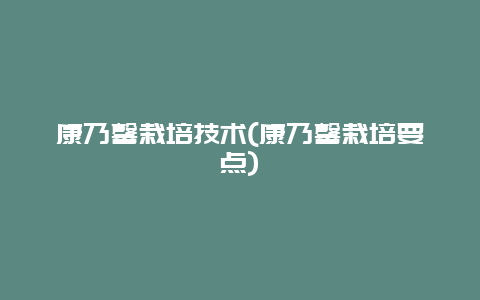 康乃馨栽培技术(康乃馨栽培要点)