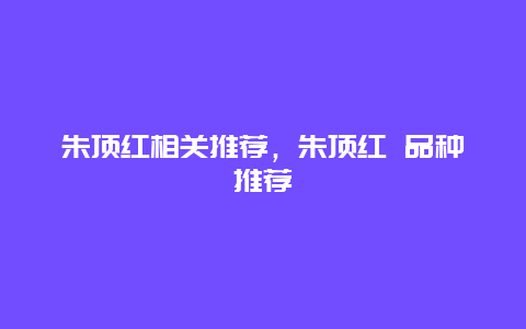 朱顶红相关推荐，朱顶红 品种推荐