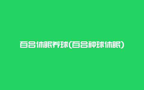 百合休眠养球(百合种球休眠)