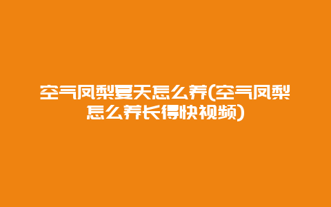 空气凤梨夏天怎么养(空气凤梨怎么养长得快视频)