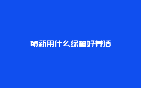 萌新用什么绿植好养活