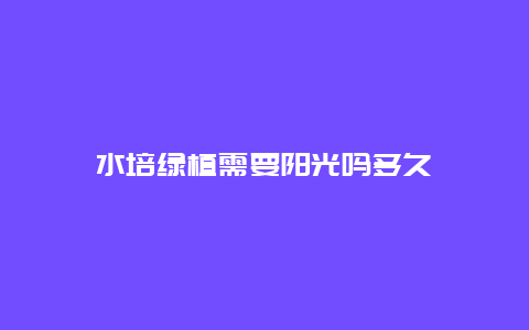 水培绿植需要阳光吗多久