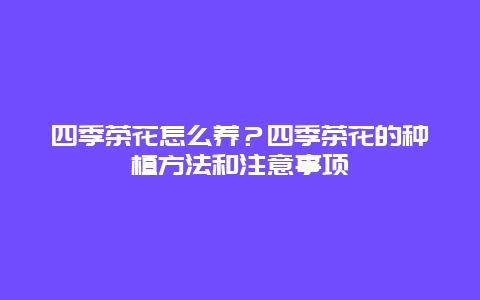 四季茶花怎么养？四季茶花的种植方法和注意事项