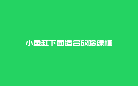 小鱼缸下面适合放啥绿植