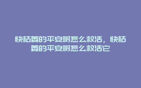 快枯萎的平安树怎么救活，快枯萎的平安树怎么救活它