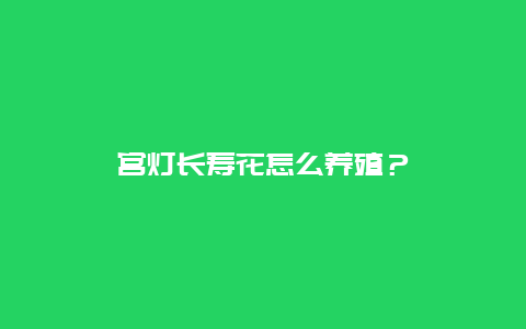 宫灯长寿花怎么养殖？