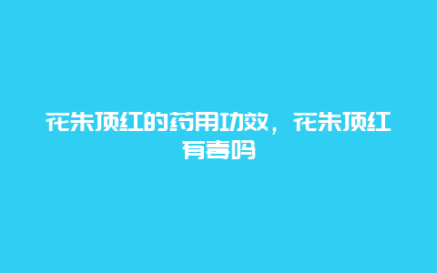 花朱顶红的药用功效，花朱顶红有毒吗