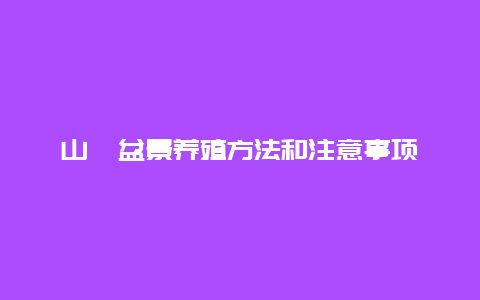 山楂盆景养殖方法和注意事项