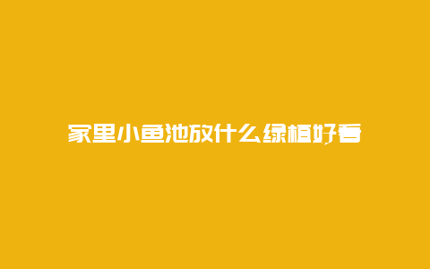 家里小鱼池放什么绿植好看