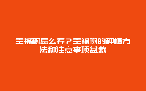 幸福树怎么养？幸福树的种植方法和注意事项盆栽