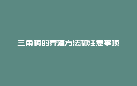 三角梅的养殖方法和注意事项