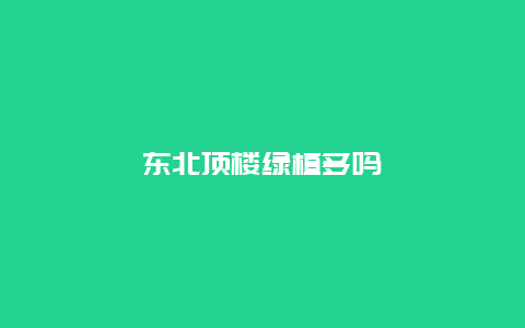 东北顶楼绿植多吗