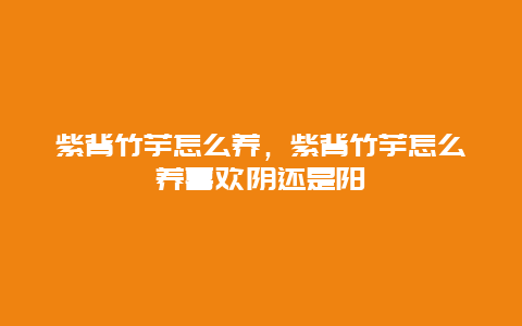 紫背竹芋怎么养，紫背竹芋怎么养喜欢阴还是阳