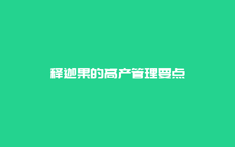 释迦果的高产管理要点