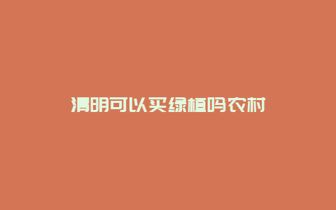 清明可以买绿植吗农村