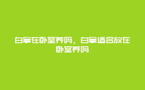 白掌在卧室养吗，白掌适合放在卧室养吗