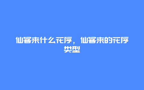 仙客来什么花序，仙客来的花序类型