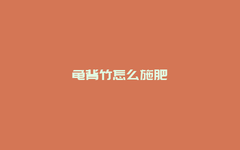 龟背竹怎么施肥