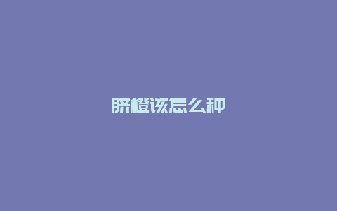 脐橙该怎么种