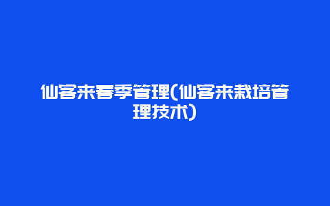 仙客来春季管理(仙客来栽培管理技术)