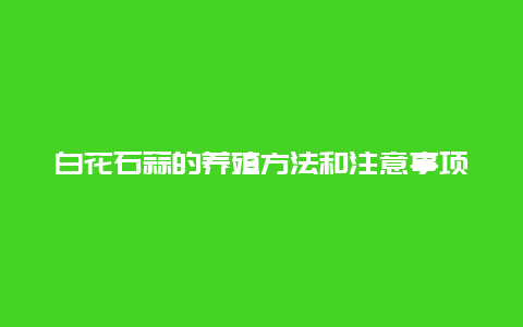 白花石蒜的养殖方法和注意事项