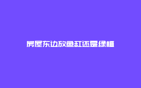 房屋东边放鱼缸还是绿植