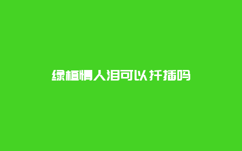 绿植情人泪可以扦插吗