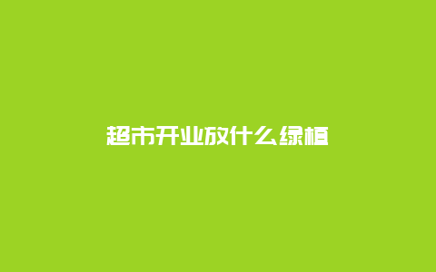 超市开业放什么绿植