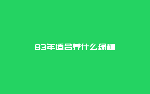 83年适合养什么绿植