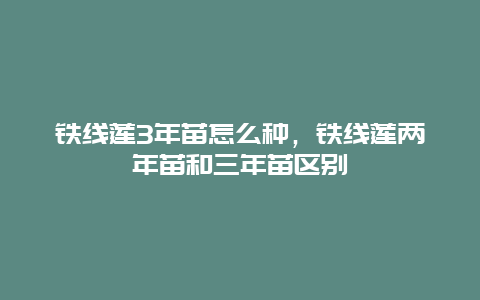 铁线莲3年苗怎么种，铁线莲两年苗和三年苗区别