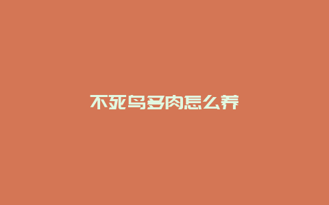 不死鸟多肉怎么养