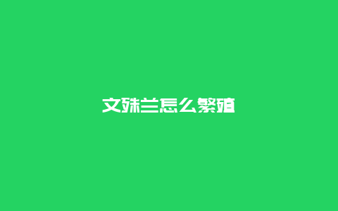 文殊兰怎么繁殖