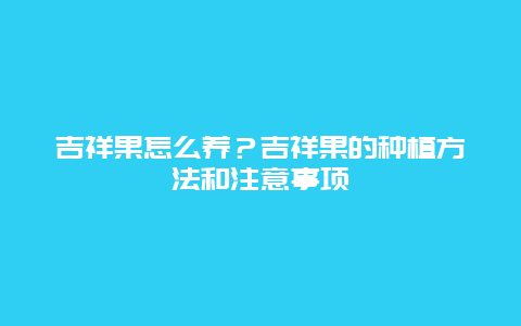 吉祥果怎么养？吉祥果的种植方法和注意事项