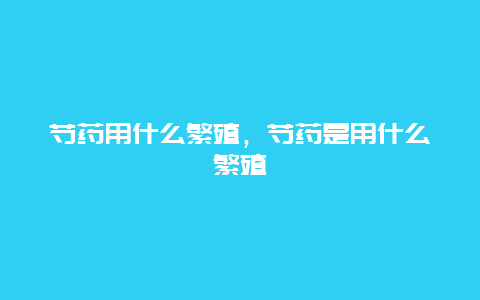 芍药用什么繁殖，芍药是用什么繁殖