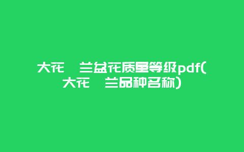 大花蕙兰盆花质量等级pdf(大花蕙兰品种名称)