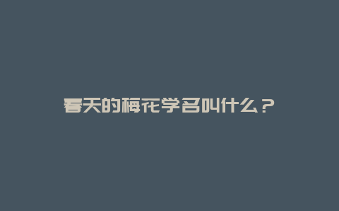 春天的梅花学名叫什么？