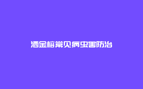 洒金榕常见病虫害防治