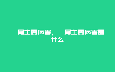 鸢尾主要病害，鸢尾主要病害是什么