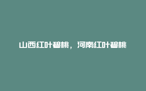 山西红叶碧桃，河南红叶碧桃