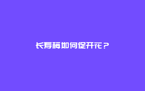 长寿梅如何促开花？