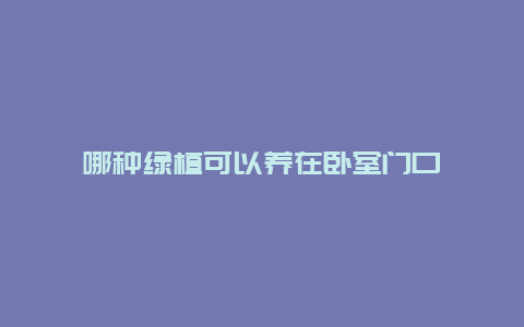 哪种绿植可以养在卧室门口