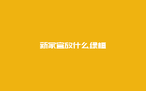 新家宜放什么绿植