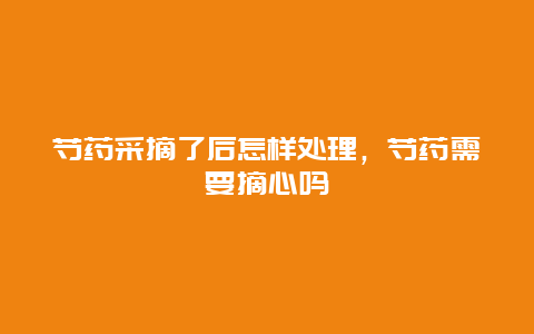 芍药采摘了后怎样处理，芍药需要摘心吗